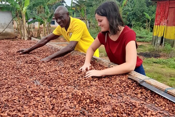 1 Day cocoa farm tour - What the private format changes