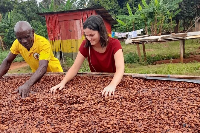 1 Day cocoa farm tour - Leaving Accra at 7:30 am