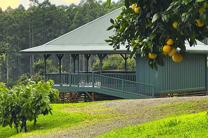10 Bar Hawaiian Craft Chocolate Tasting Experience - Rain, timing, and practical comfort
