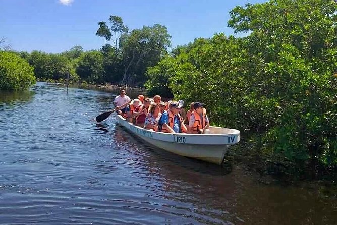 4 in 1 Tour - Mazunte, Cacao Factory, La Ventanilla National Park & Turtle Spawn - Forty-five minutes to get a feel for Mazunte