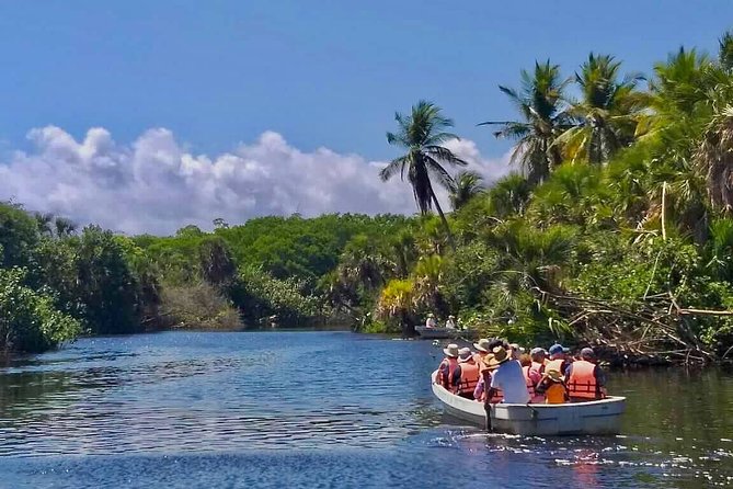 4 in 1 Tour - Mazunte, Cacao Factory, La Ventanilla National Park & Turtle Spawn - The turtle spawning after sunset