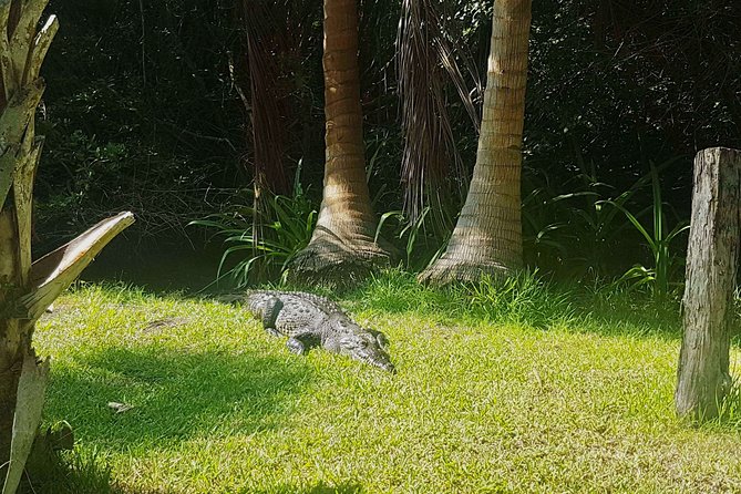 4-in-1 Tour - Mazunte,Cacao Factory, La Ventanilla & Turtle Spawn - Lunch in Mazunte, with the bill separate