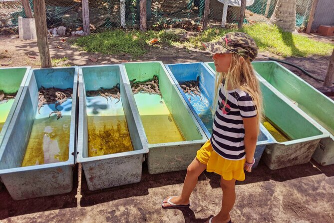 4-in-1 Tour - Mazunte,Cacao Factory, La Ventanilla & Turtle Spawn - The evening turtle spawning event