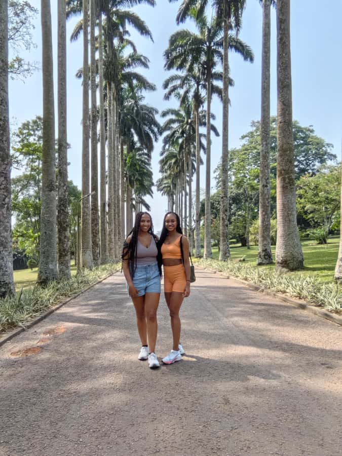 Accra: Aburi Botanical Garden, Cocoa Farm, and Waterfall … - Key points at a glance