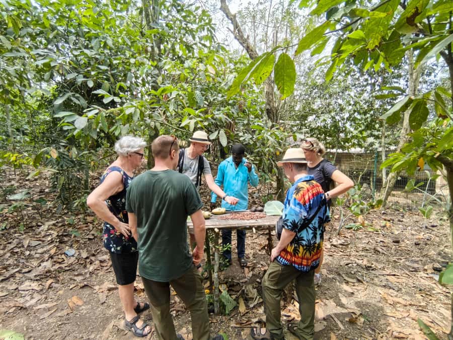 Accra: Aburi Botanical Garden, Cocoa Farm, and Waterfall … - Why this Accra day trip works