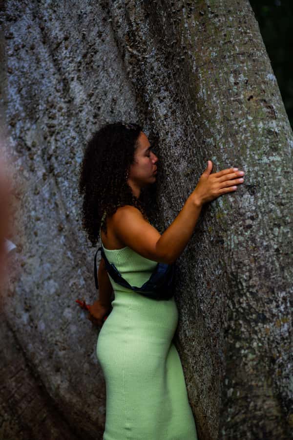 Accra: Aburi Botanical Garden, Cocoa Farm, and Waterfall … - The short forest walk to Asenema Waterfall