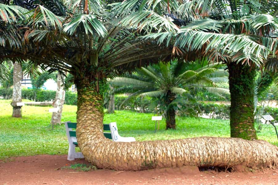 Accra Aburi Eco & Cocoa Experience: Gardens Waterfall &Lunch - Key points to know before you go