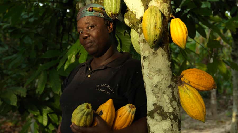 Accra Aburi Eco & Cocoa Experience: Gardens Waterfall &Lunch - From Accra to the cocoa country near Aburi