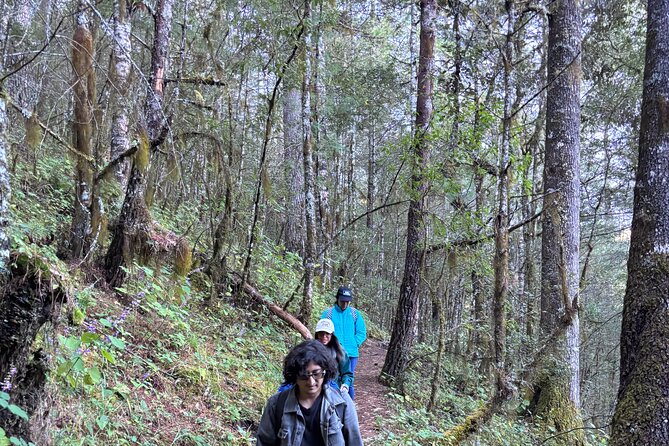 Amazing Walk through the Zapotec Mountains with Hot Chocolate - The final 800 meters require some effort