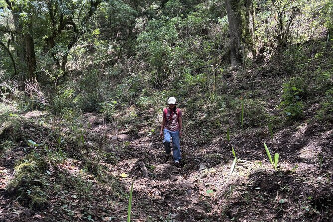 Amazing Walk through the Zapotec Mountains with Hot Chocolate - Who will enjoy this hike most