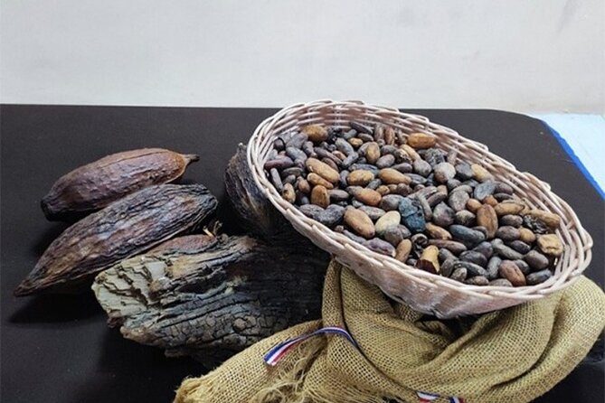 Ambar Chocolate Puerto Plata Culture and Colored Umbrella - Two hours with Dominican amber