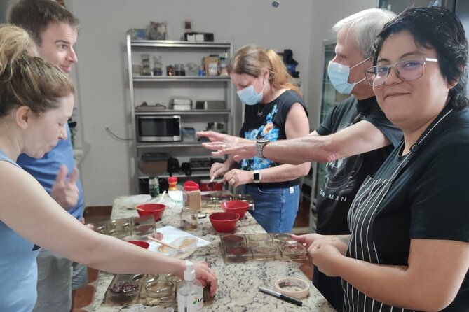 Artisanal Chocolate Bean to Bar Workshop in Cancún - From Cacao Agriculture to Bean-to-Bar Chocolate