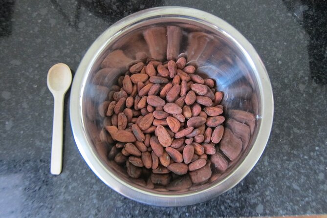 Artisanal Chocolate Bean to Bar Workshop in Cancún - Tempering, Molding, and Choosing Flavors