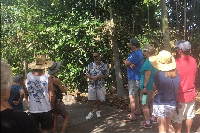 Award Winning Farm Tour: Coffee, Chocolate and Unique Gifts - A Kona farm above the Pacific