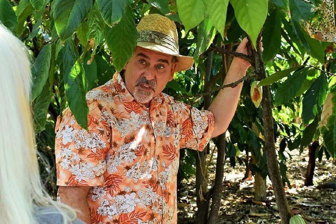 Award Winning Farm Tour: Coffee, Chocolate and Unique Gifts - Walking among coffee, cacao, and other plants