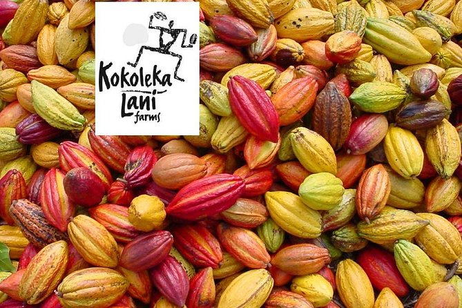 Award Winning Farm Tour: Coffee, Chocolate and Unique Gifts - Coffee and chocolate made on site