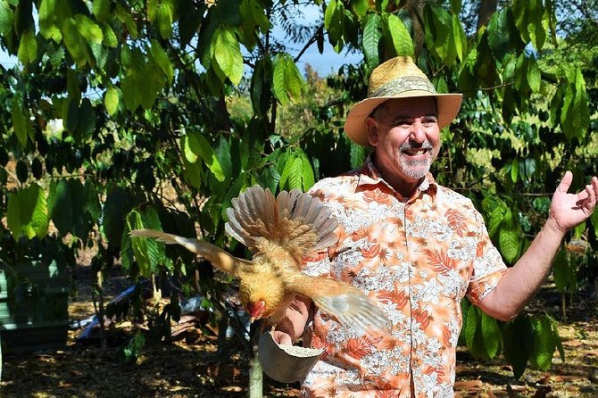 Award Winning Farm Tour: Coffee, Chocolate and Unique Gifts - The shop is part of the visit
