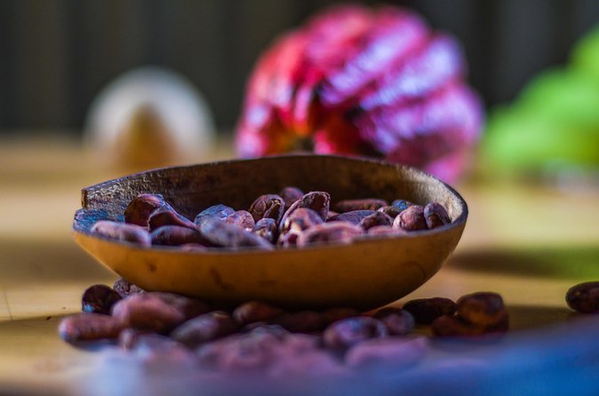 Best of Grenada: Waterfalls, Chocolate, Nutmeg Museum, History - Jouvay Chocolate: from cocoa plant to finished chocolate