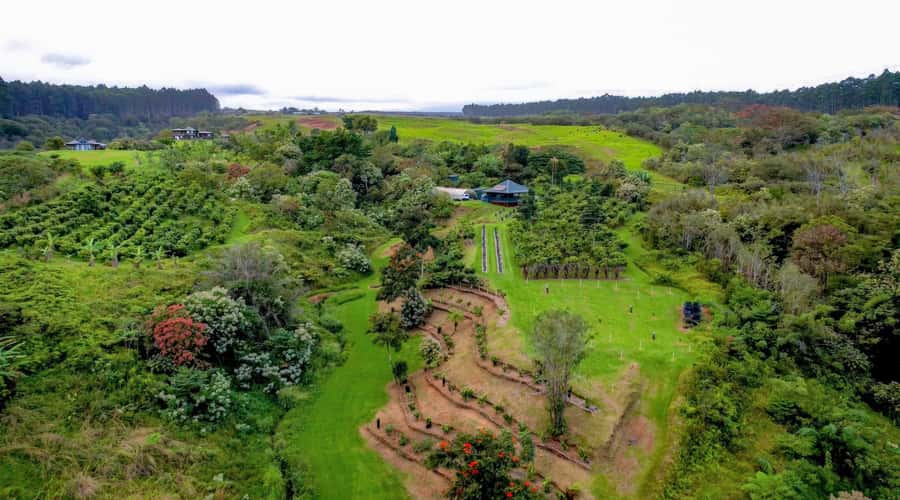 Big Island Hawaii: Craft Chocolate Tasting and Farm Tour - The fermentation room is the key stop