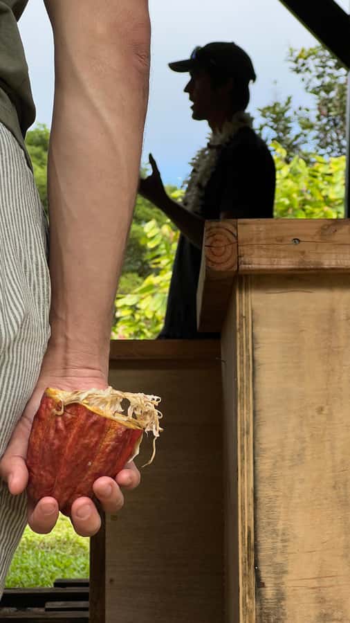 Big Island Hawaii: Craft Chocolate Tasting and Farm Tour - Ten Hawaiian bars, plus a few surprises
