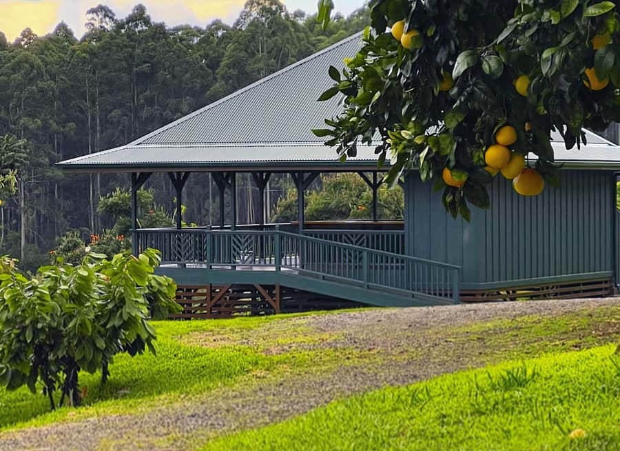 Big Island Hawaii: Craft Chocolate Tasting and Farm Tour - Who will get the most from $130