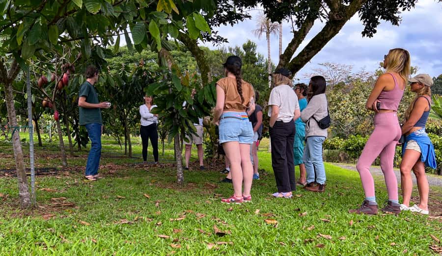 Big Island Hawaii: Craft Chocolate Tasting and Farm Tour - Booking, cancellation, and practical limits