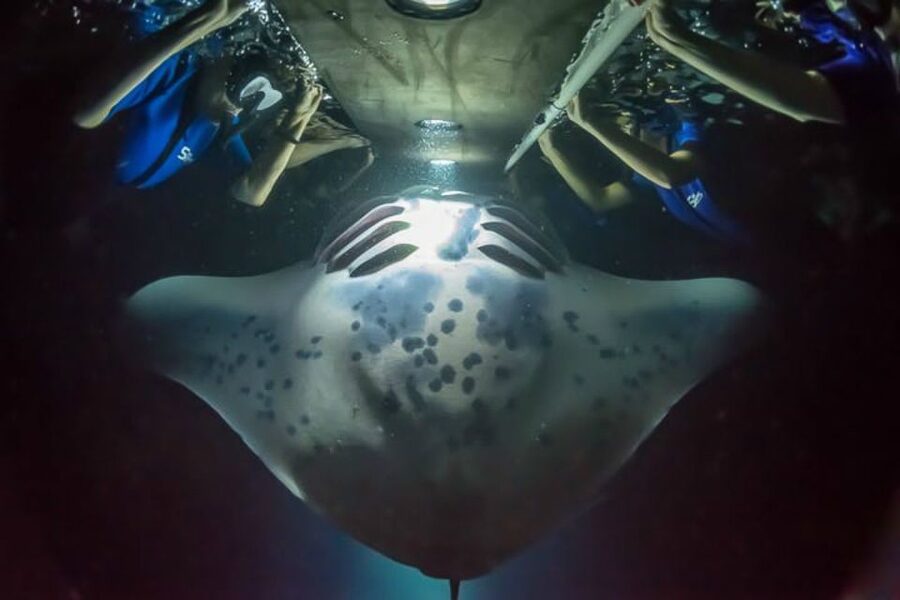 Big Island: Night Swim with Manta Ray with Hot Chocolate - A short boat ride and a clear safety briefing