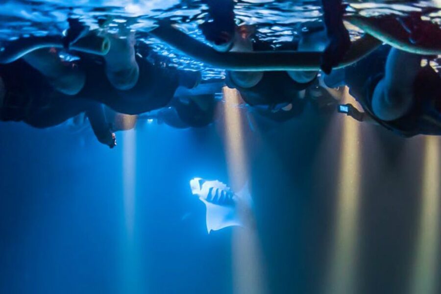 Big Island: Night Swim with Manta Ray with Hot Chocolate - What the 75 minutes really feels like