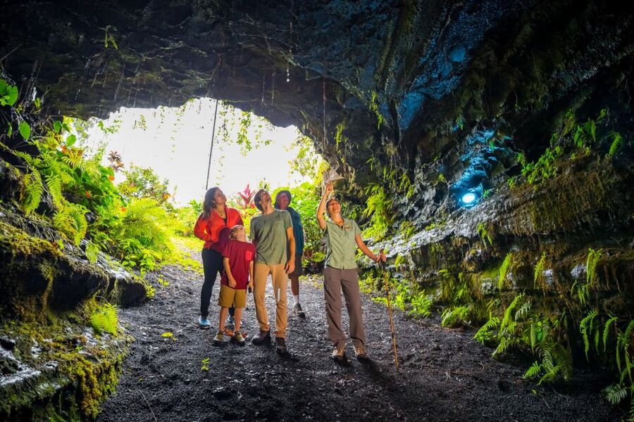 Big Island: Volcano, Chocolate & Waterfall Adventure - Lavaloha Chocolate Farm: a change of pace