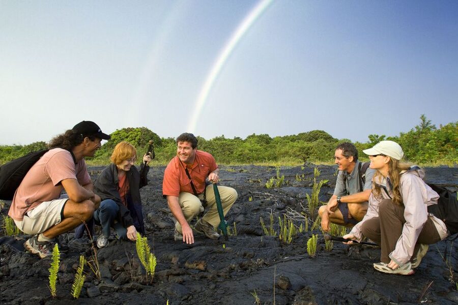 Big Island: Volcano, Chocolate & Waterfall Adventure - Who should book this Big Island day trip?
