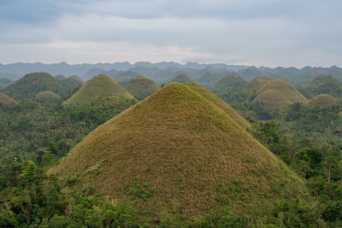 Bohol Chocolate Making and Farm Tour - Why this five-hour Bohol outing feels different