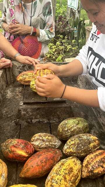 Bohol Chocolate Making and Farm Tour - Language, guides, and the feel of the visit