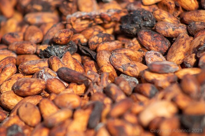 Boti Falls, Umbrella Rock, Aburi Gardens & Cocoa Farm Day Tour - Five things to know before you book