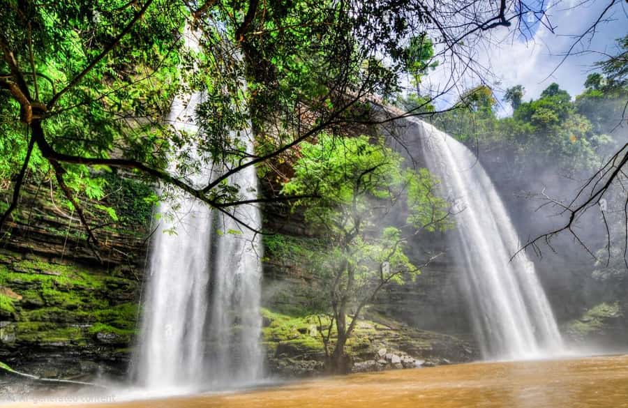 Boti Falls, Umbrella Rock, Aburi Gardens & Cocoa Farm Tour - Five things to know before booking