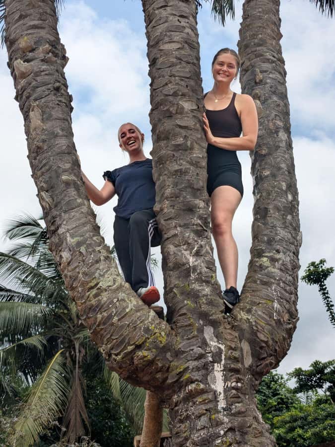 Boti Falls, Umbrella Rock, Aburi Gardens & Cocoa Farm Tour - Aburi Botanical Gardens: a gentle start