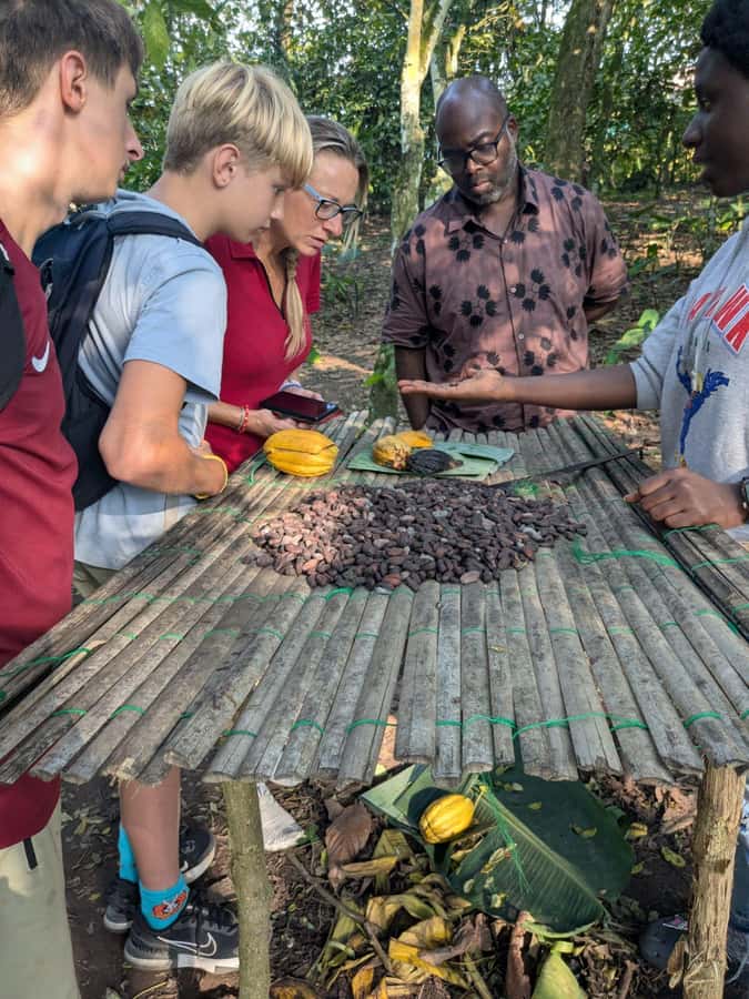 Boti Falls, Umbrella Rock, Aburi Gardens & Cocoa Farm Tour - Boti Falls and the forest walk