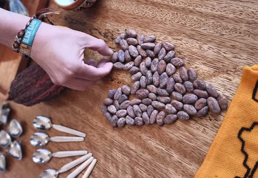 Brussels: 1h-Bean-to-Bar Chocolate Making Workshop - Finding The Unusual on Warmoesberg