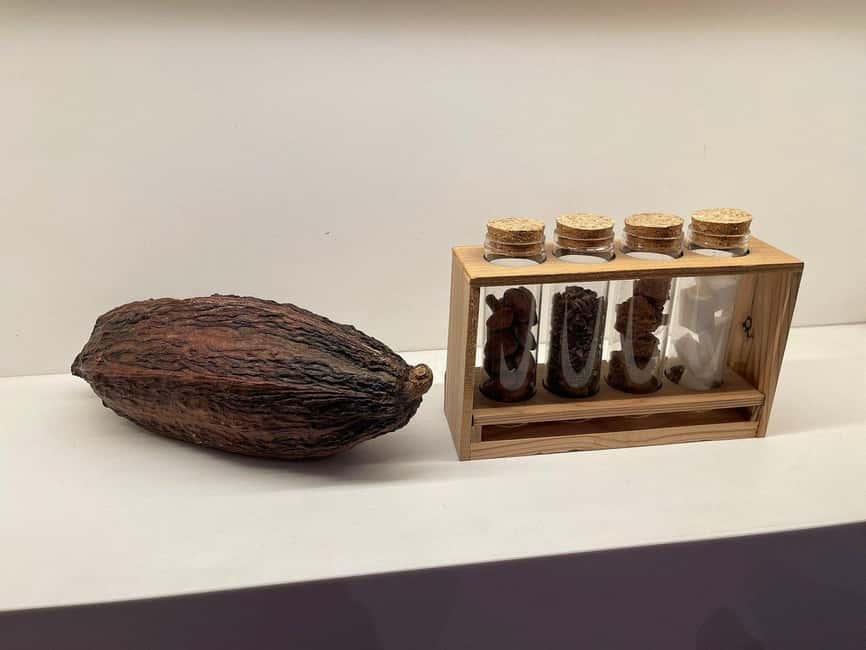 Brussels: Chocolate Appreciation and Tasting Walking Tour - Why this chocolate walk works so well in Brussels