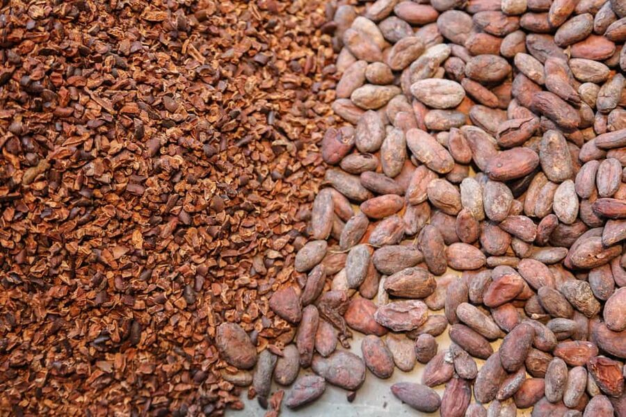 Brussels: Chocolate Appreciation and Tasting Walking Tour - Practical advice before you book
