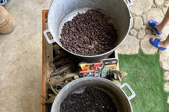 Buggy Adventure Tour with Chocolate and Coffee in Punta Cana - Key points before you book