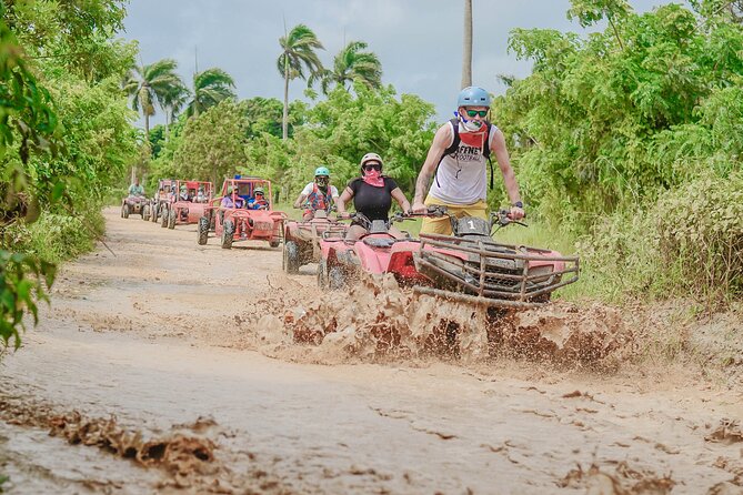 Buggy Ride Into the jungle with cave coffee & chocolate tasting - What the $53 Price Really Buys You