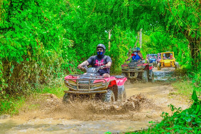 Buggy Ride Into the jungle with cave coffee & chocolate tasting - Coffee, Chocolate, Tobacco, and the Sales Stop