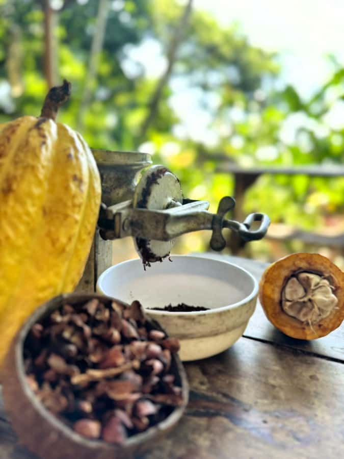 Cacao Experience Tour - What makes the chocolate tasting worthwhile