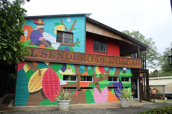 Cacao Plantation and Chocolate Factory Tour- Chocolate Lovers - Lunch with Dominican hot chocolate