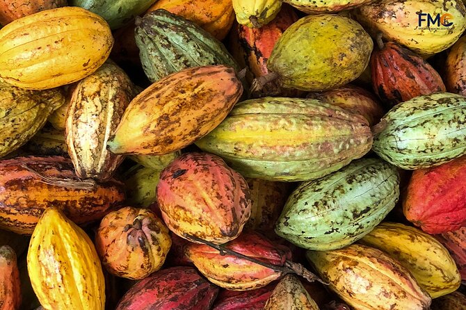 Cai Rang floating market, Cacao & hidden small canal - My Khanh village and a brief look at daily life