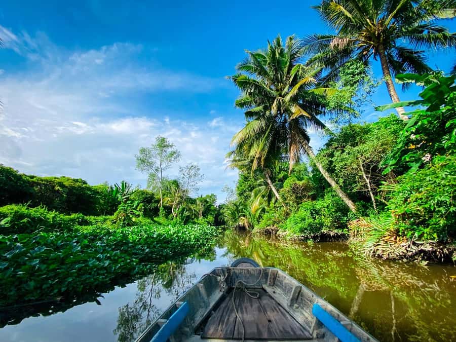 Can Tho: A Real Mekong Tour, Floating Market, Cacao & Life's - A family rice noodle house without a shopping stop