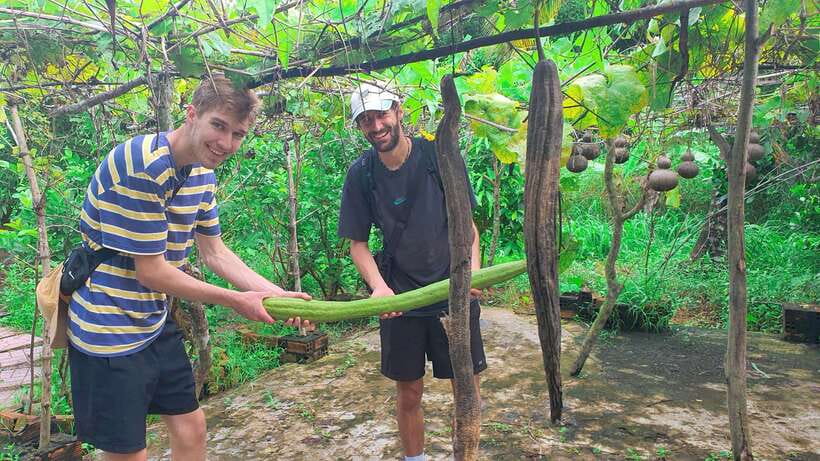 Can Tho: Countryside Cycling Tour with Cocoa Farm Visit - Seeing farming life at the duck farm