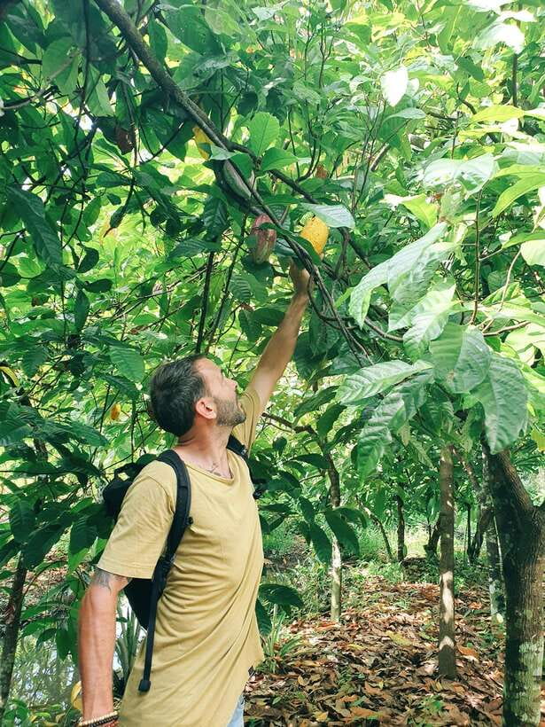Can Tho: Countryside Cycling Tour with Cocoa Farm Visit - Starting at 1:00 PM in Can Tho