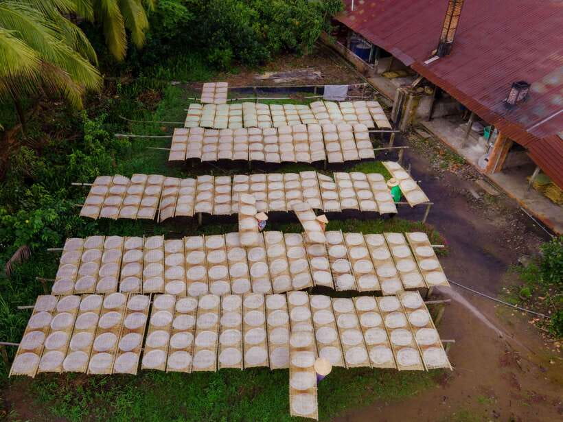 Can Tho: Explore Mekong, Floating Market, Cacao & Local Life - Meeting Mr. Cacao at a family farm