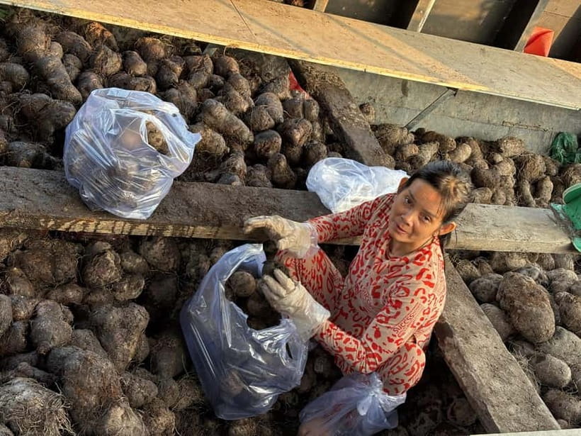 Can Tho: Floating Market, Cacao & Canals with French Guide - Who should book this experience?